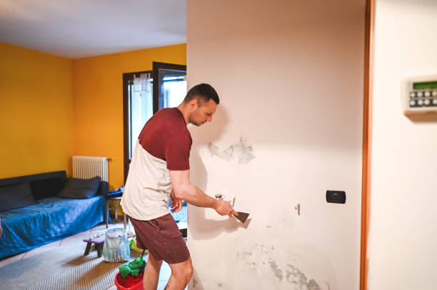Best Black Mold Remediation in Camp Verde, AZ